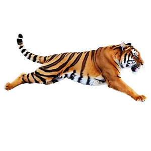 Tiger In Attack Mode PNG Pke PNG