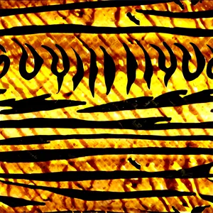 Tiger Print PNG Pnp PNG
