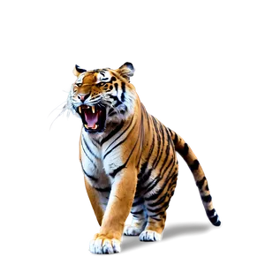 Tiger's Power And Anger PNG Rtq3
