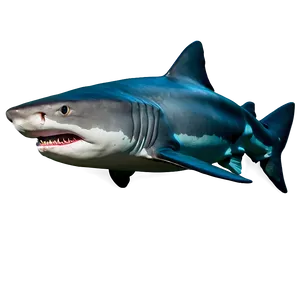 Tiger Shark Attack Pose PNG 06212024