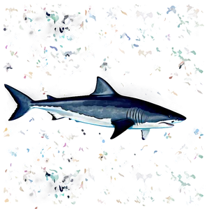 Tiger Shark Camouflage PNG 06212024