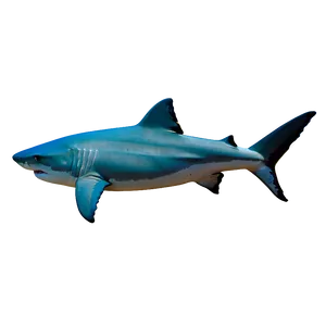 Tiger Shark Eco System PNG 06212024