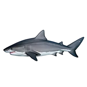 Tiger Shark Eco System PNG Nlf60 PNG