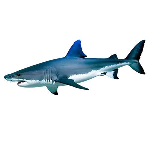 Tiger Shark Evolution Chart PNG Bhd