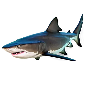 Tiger Shark Family PNG 28