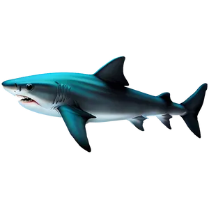 Tiger Shark Illustration Png 06212024 PNG image