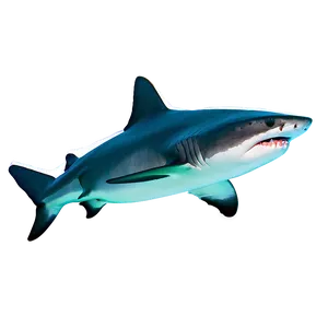 Tiger Shark In Deep Sea PNG 79 PNG
