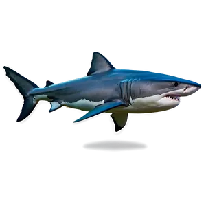 Tiger Shark In The Wild PNG 90