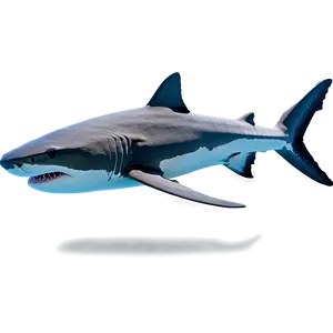 Tiger Shark In The Wild PNG Mbq98
