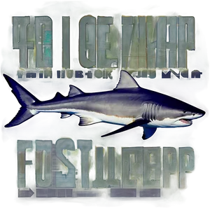 Tiger Shark Night Hunt PNG Dtv18 PNG