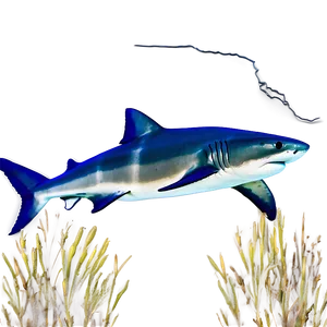 Tiger Shark On The Prowl PNG Nby