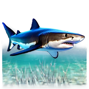 Tiger Shark Profile Picture PNG Jui91 PNG