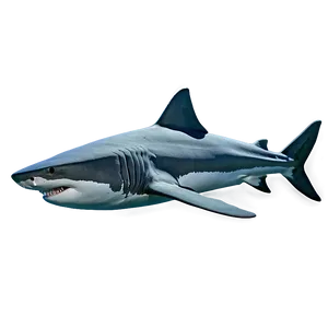 Tiger Shark Top View PNG Rvy70 PNG