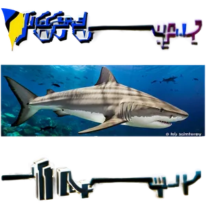Tiger Shark With Shipwreck PNG 40