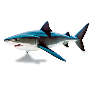 Tiger Shark With Sun Rays PNG Tun13 PNG