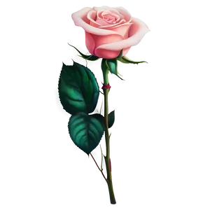 Timeless Elegance Rose PNG Nqf79 PNG