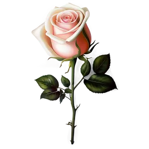 Timeless Elegance Rose PNG Saa43 PNG