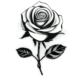 Timeless Rose Black And White PNG 80