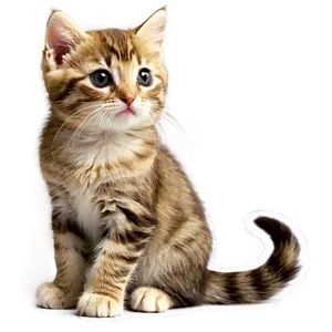 Tiny Cute Kitty PNG Pul