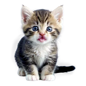 Tiny Kitten PNG 05232024