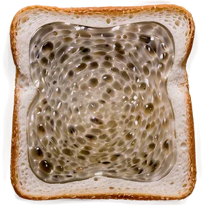 Toasted Bread Slice PNG Yhp