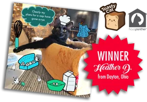 Toasty Cat Winner Heather Dayton Ohio PNG image