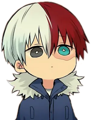 Todoroki Shoto Anime Character PNG