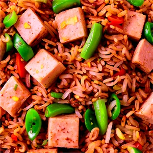 Tofu Fried Rice PNG 06262024