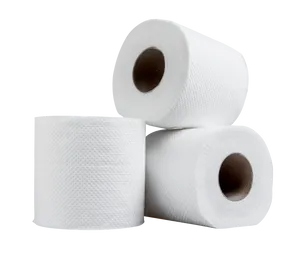 Toilet Paper Rolls Isolatedon Gray Background PNG
