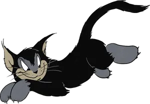 Tom Smiling Cartoon Cat PNG