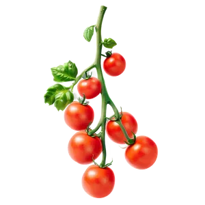 Tomato Branch Png 05242024 PNG image