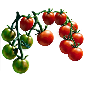Tomato Branch Png Fqa98 PNG image