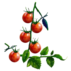 Tomato Branch PNG Xtg5