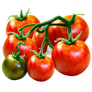 Tomato Bunch Png Pgy14 PNG image