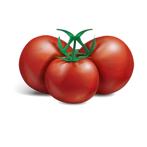 Tomato Drawing Png 05242024 PNG image