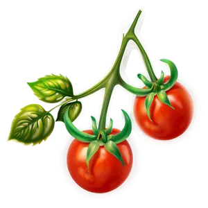 Tomato Flower PNG 96 PNG