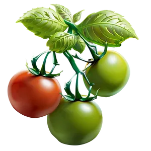 Tomato Garden Png Hvr PNG image