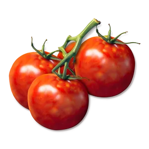 Tomato Icon Png Jgx PNG image