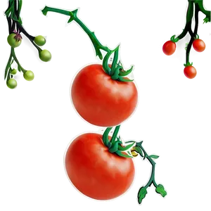Tomato On Vine Png 40 PNG image