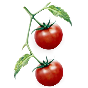 Tomato Pattern PNG Auw PNG