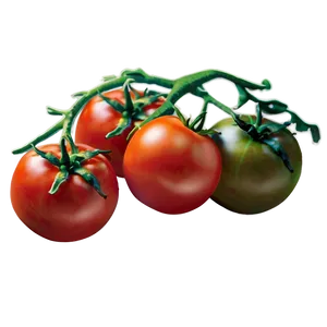 Tomato Plant Care PNG 31