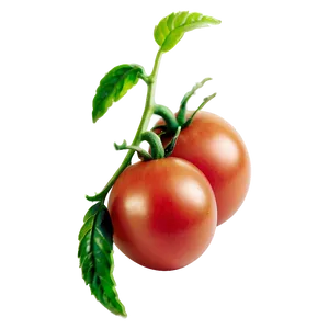 Tomato Plant Disease PNG Gyg26 PNG