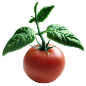 Tomato Plant Fertilizer PNG 06212024