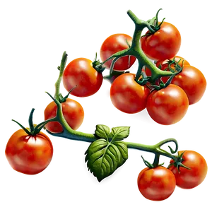 Tomato Plant Flower Png 9 PNG image