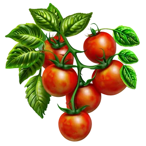 Tomato Plant Fruit PNG 66