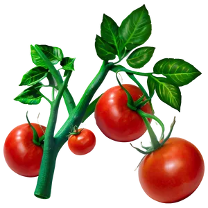 Tomato Plant Harvest PNG Pdi