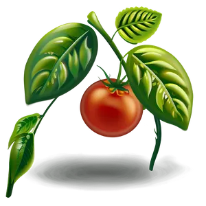 Tomato Plant Pest PNG 06212024
