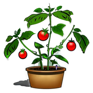 Tomato Plant Seedlings Png Elw PNG image