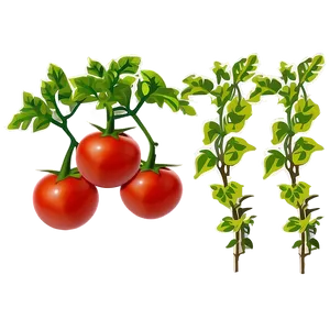 Tomato Plant Soil PNG Sea42 PNG