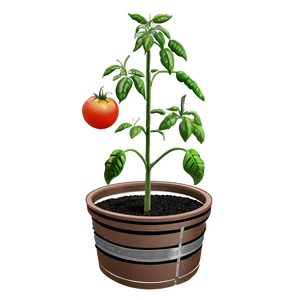 Tomato Plant Support PNG Jpv
